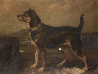A Terrier in a Landscape